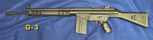 pellet_guns.jpg (18077 bytes)